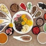 Curso de Medicina Tradicional China